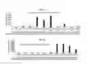 Fig. 02 - Highly sensitive and specific luciferase based reporter assay for antigen detection