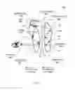 Fig. 05 - Apparatus for optical see-through head mounted display with mutual occlusion and opaqueness control capability