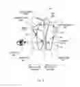 Fig. 07 - Apparatus for optical see-through head mounted display with mutual occlusion and opaqueness control capability