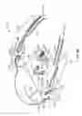 Fig. 10 - Eyeglasses with interchangeable lenses