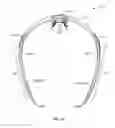 Fig. 15 - Eyeglasses with interchangeable lenses