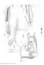 Fig. 31 - Eyeglasses with interchangeable lenses