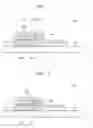 Fig. 02 - Meta device and manufacturing method thereof