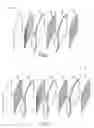 Fig. 02 - Curved Automatic-Darkening Filter