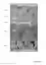 Fig. 12 - FABRICATION OF ELECTROCHROMIC DEVICES