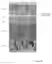 Fig. 16 - FABRICATION OF ELECTROCHROMIC DEVICES