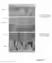 Fig. 20 - FABRICATION OF ELECTROCHROMIC DEVICES