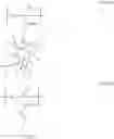 Fig. 119 - Salt and photoresist composition containing the same