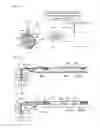 Fig. 11 - Image forming apparatus