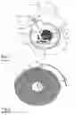 Fig. 02 - Spiral spring for a sprung balance spiral resonator and method for manufacturing the same