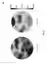 Fig. 09 - Brain-computer interface platform and process for classification of covert speech
