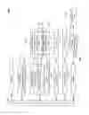 Fig. 08 - System for enhanced display of information on a user device