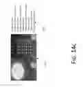 Fig. 17 - IMAGE SEARCH AND INDEX BUILDING