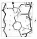 Fig. 05 - Neural network for predicting drug property