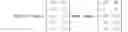 Fig. 06 - Enhanced vector-based identification of circuit trojans