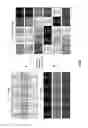 Fig. 09 - SECURE DATA TRANSMISSION UTILIZING DISTRIBUTED STORAGE