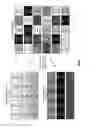 Fig. 10 - SECURE DATA TRANSMISSION UTILIZING DISTRIBUTED STORAGE