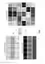 Fig. 11 - SECURE DATA TRANSMISSION UTILIZING DISTRIBUTED STORAGE