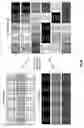 Fig. 09 - Secure data transmission utilizing distributed storage