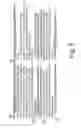 Fig. 09 - MICROFORM WORD SEARCH METHOD AND APPARATUS