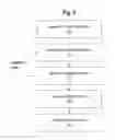 Fig. 04 - Disease recognition from images having a large field of view