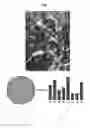 Fig. 08 - Disease recognition from images having a large field of view