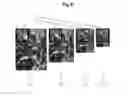 Fig. 10 - Disease recognition from images having a large field of view