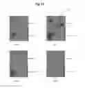 Fig. 11 - Disease recognition from images having a large field of view