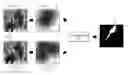 Fig. 01 - Utilizing interactive deep learning to select objects in digital visual media