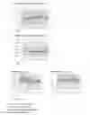 Fig. 45 - Convolutional neural network (CNN)-based suggestions for anomaly input