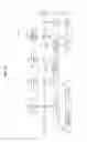 Fig. 13 - INFORMATION PROCESSING APPARATUS, MANAGEMENT APPARATUS, INFORMATION PROCESSING METHOD, AND INFORMATION PROCESSING SYSTEM
