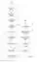 Fig. 08 - Three-dimensional body scanning and apparel recommendation