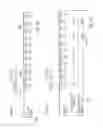 Fig. 13 - Synchronous and Asynchronous Electronic Voting Terminal System and Network