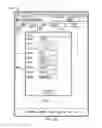 Fig. 85 - Synchronous and Asynchronous Electronic Voting Terminal System and Network