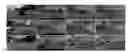 Fig. 01 - System and method for semantic segmentation using hybrid dilated convolution (HDC)