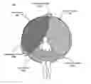 Fig. 01 - Calibration system for a head-mounted display tracking system