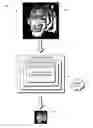 Fig. 01 - Using signed distance fields in multicolored vector approximation
