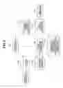 Fig. 07 - Image processing apparatus, image processing method, and storage medium