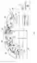 Fig. 04 - Automatic jackpot detection