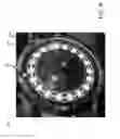 Fig. 10 - Vertical roulette mechanism