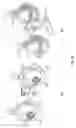 Fig. 22 - SYSTEM AND METHOD OF PERVASIVE DEVELOPMENTAL DISORDER INTERVENTIONS