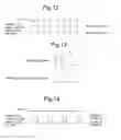 Fig. 11 - LIQUID CRYSTAL DISPLAY DEVICE AND METHOD OF CONTROLLING THE SAME