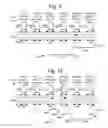 Fig. 11 - Reducing disturbs with delayed ramp up of dummy word line after pre-charge during programming