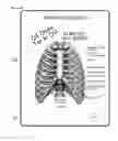 Fig. 12 - APPARATUS AND METHOD FOR ASSISTING MEDICAL CONSULTATION