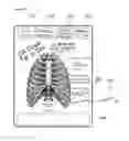 Fig. 13 - APPARATUS AND METHOD FOR ASSISTING MEDICAL CONSULTATION