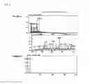 Fig. 09 - Ionizer and mass spectrometer system