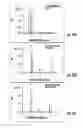 Fig. 20 - Solid phase extraction with capillary electrophoresis