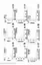 Fig. 24 - Solid phase extraction with capillary electrophoresis