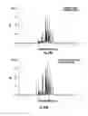 Fig. 27 - Solid phase extraction with capillary electrophoresis