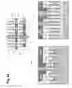 Fig. 13 - Methods of forming conductive contact structures to semiconductor devices and the resulting structures